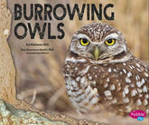 Burrowing Owls Hardcover